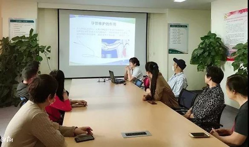 站群程序出售市场透视：从技术架构到AI赋能的生态重构